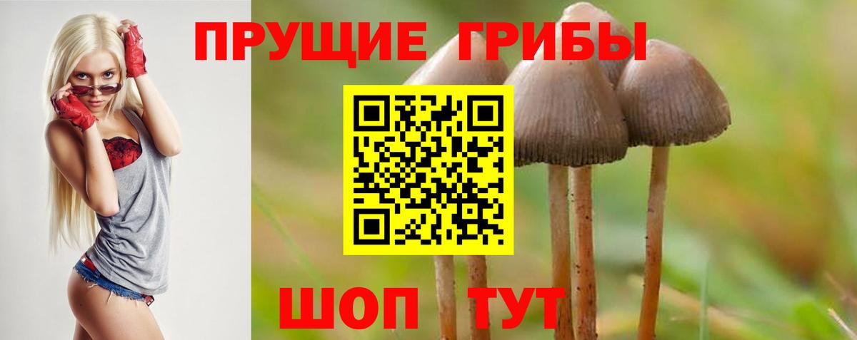 Галлюциногенные грибы мицелий  Псилоцибиновые грибы прущие грибы  Краснокамск  Вход с VPN 